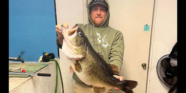 Texas Angler Catches 17-Pound Largemouth Bass on Video