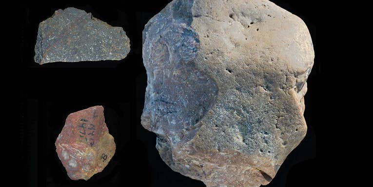 Archeologists Discover 2.8-Million-Year-Old Stone Tools Used to Butcher Hippos