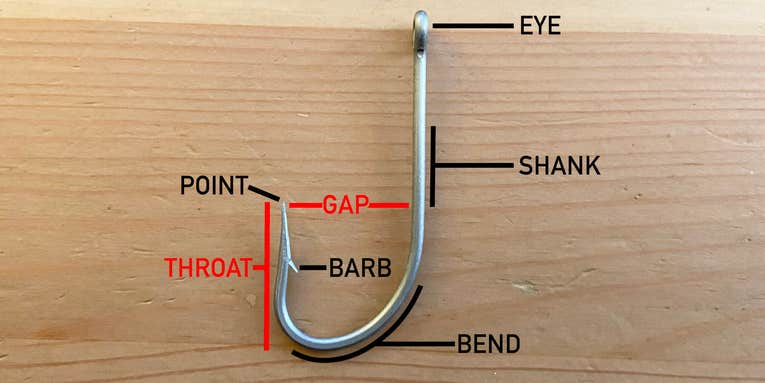 Fishing Hook Sizes: A Beginner’s Guide to Hook Selection