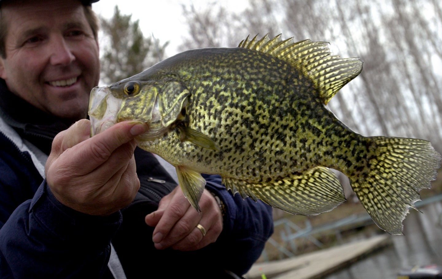 learn how to catch crappie
