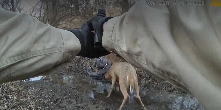 Watch 6 Times Locked-Up Bucks Were Freed By a Bullet