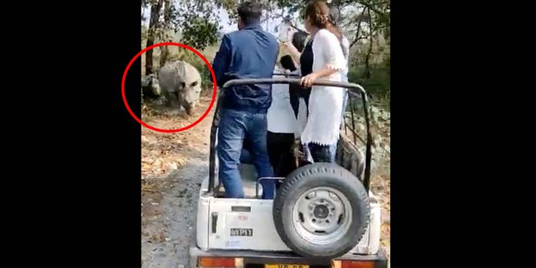 Watch Two Rhinos Charge a Safari Jeep, Causing a Serious Rollover Crash