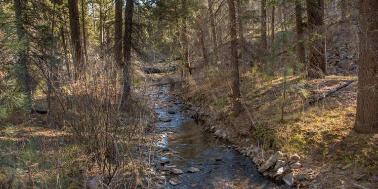 U.S. Supreme Court Dismisses Lawsuit Challenging New Mexico Stream Access Ruling