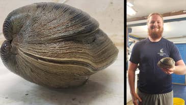 Florida Man Finds Clam Believed to Be 214 Years Old