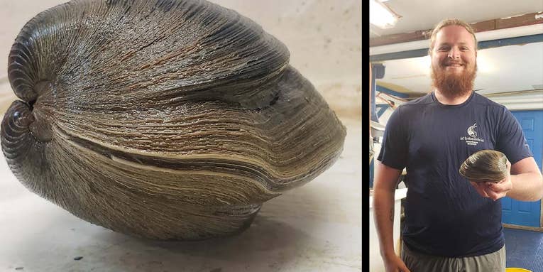 Florida Man Finds Clam Believed to Be 214 Years Old