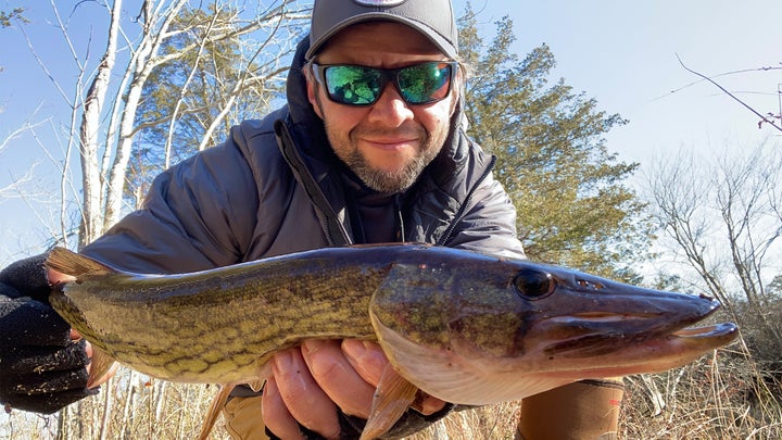 Pickerel Fishing: How to Yank More Chains from Your Local Waters