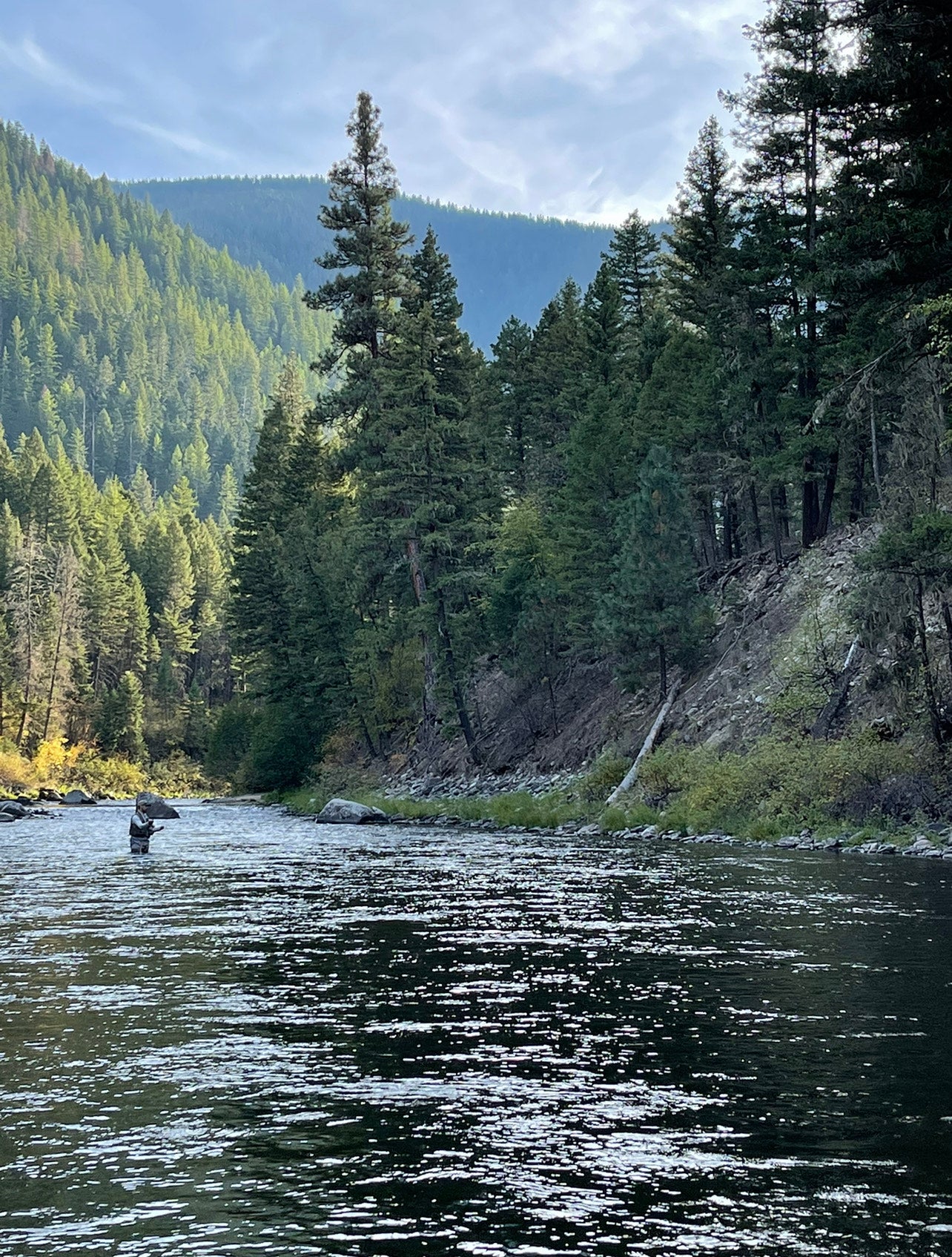 montana trout stream