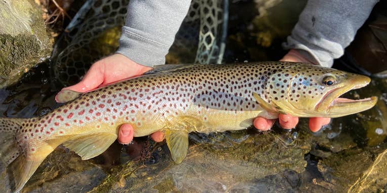 The Big Time: How to Wade-Fish Sprawling Trout Rivers