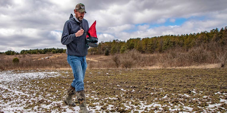 When to Plant Deer Food Plots—An Offseason Timeline
