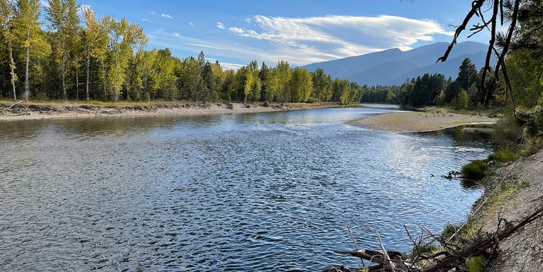 Proposed Rare Earth Mine Would Sit Along the Headwaters of a Legendary Montana Trout Stream