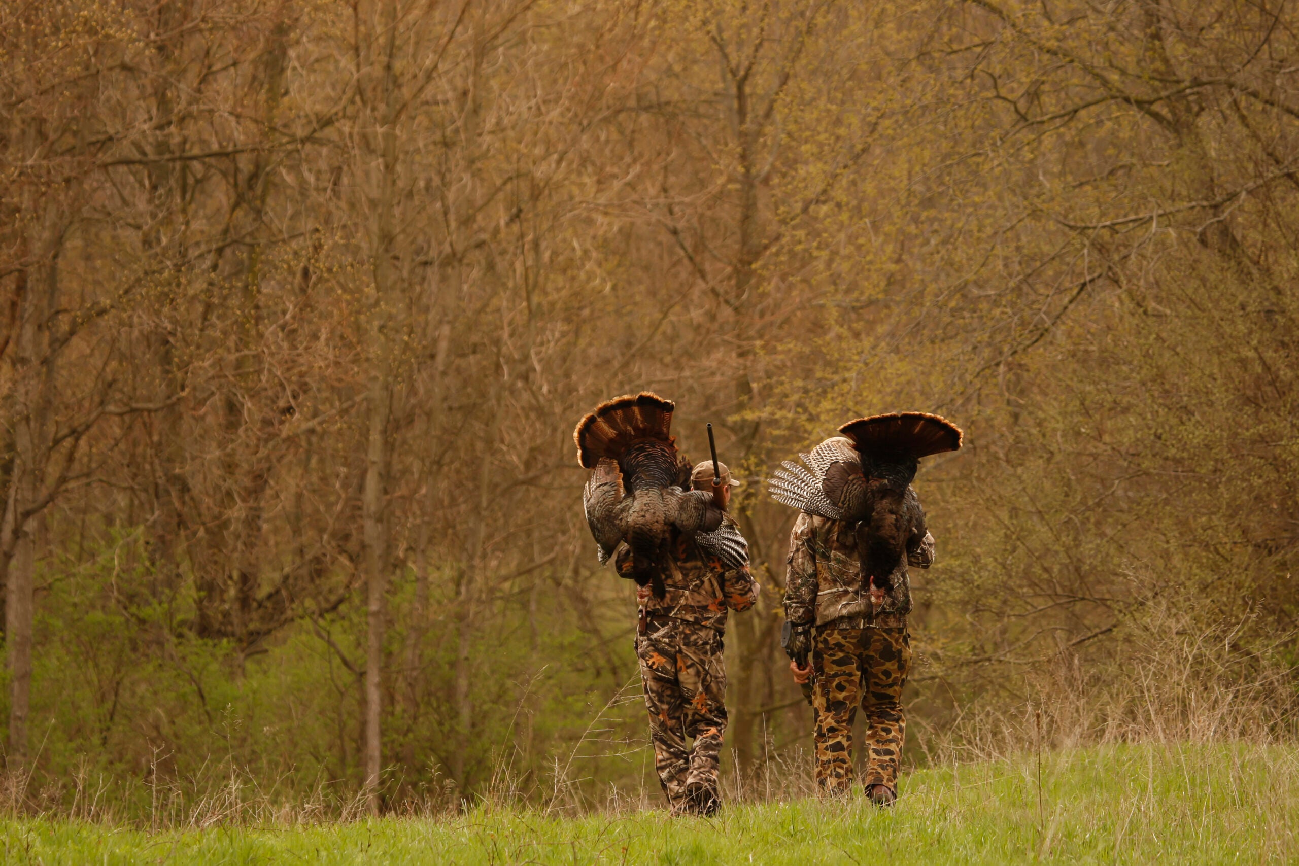 photo showing two hunters with turkeys