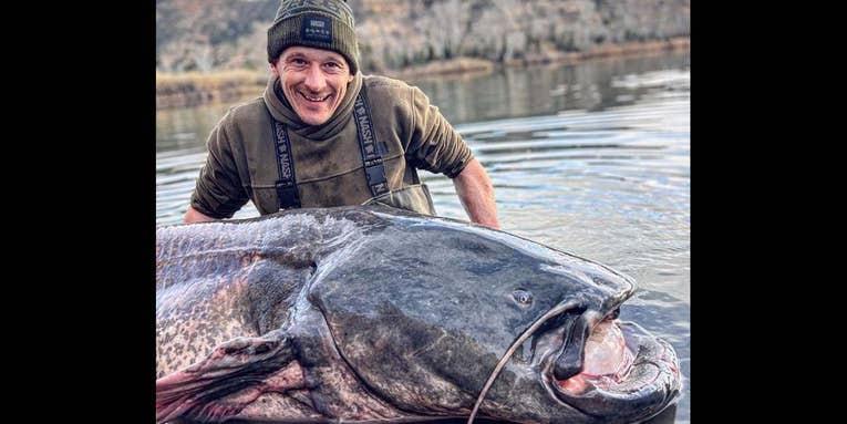 Angler Catches Monster 222-Pound Catfish Despite Freezing Temps