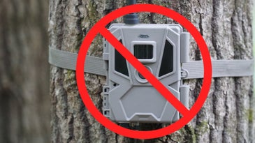 Kansas Fish and Game Commission Bans Trail Cameras on Public Land