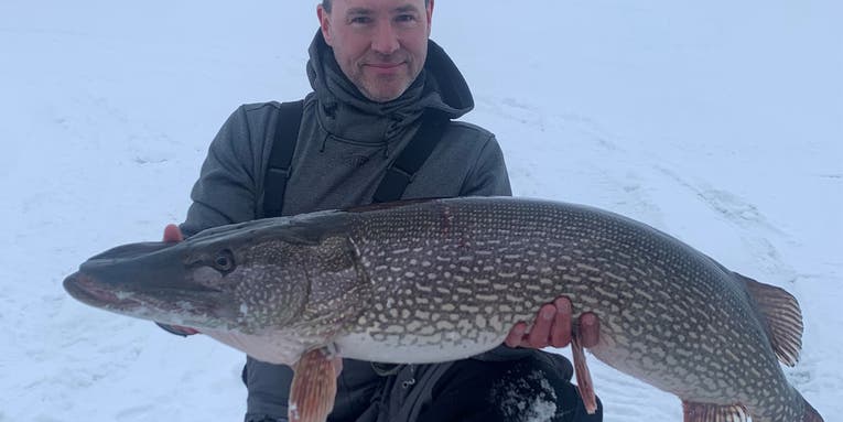 Wisconsin Ice Angler’s Massive Northern Pike is a New Minnesota State Record