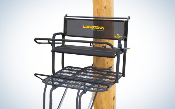 Best Two Man Ladder Stands