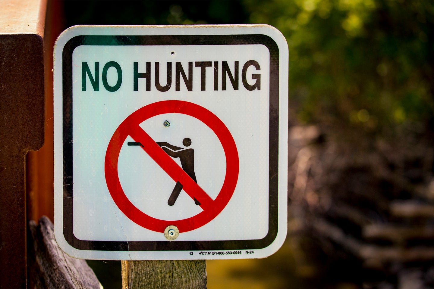 Sunday hunting ban
