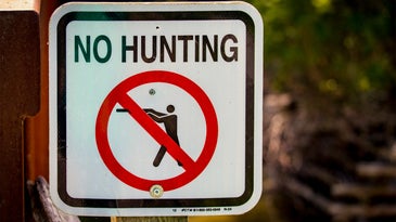 New Bill Would Legalize Sunday Hunting in Maine