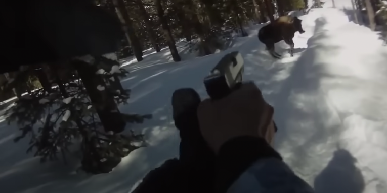 Watch Angry Moose Attack Speeding Snowmobilers