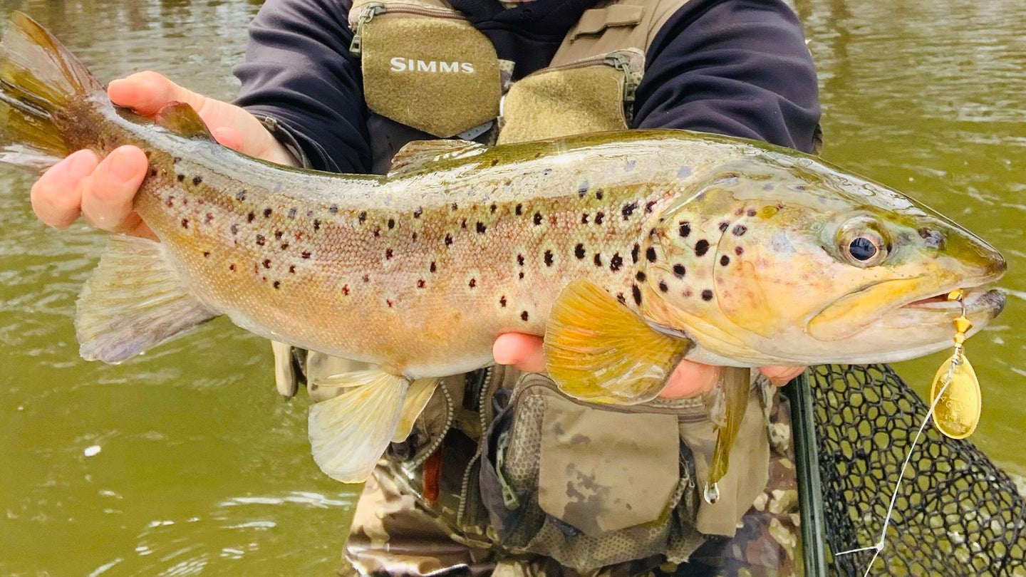 TOP 25 Places to Catch Large Trout Fly Fishing in America
