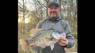 Georgia Angler Catches Monster 3-Pound, 11-Ounce Black Crappie