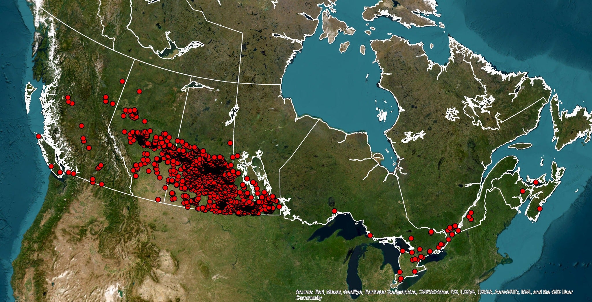 mapa que muestra la invasión de cerdos en las provincias de las praderas de Canadá