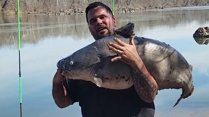 Population “Explosion” of Invasive Blue Catfish Prompts Maryland to Seek Federal Disaster Aid