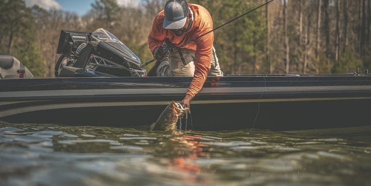 Jig Fishing for Bass: The Styles You Need and How to Fish Them