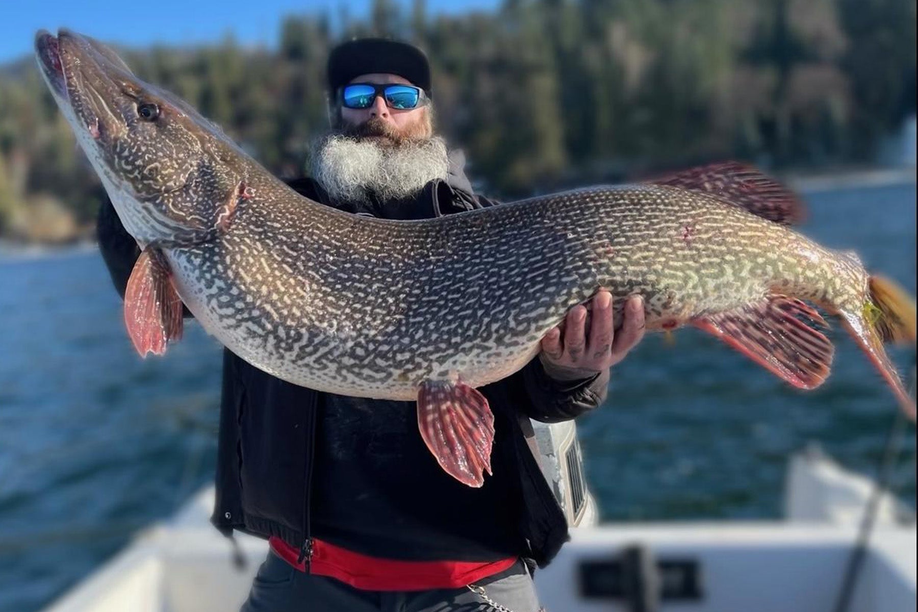 Idaho Angler's Massive Pike is a New State Record