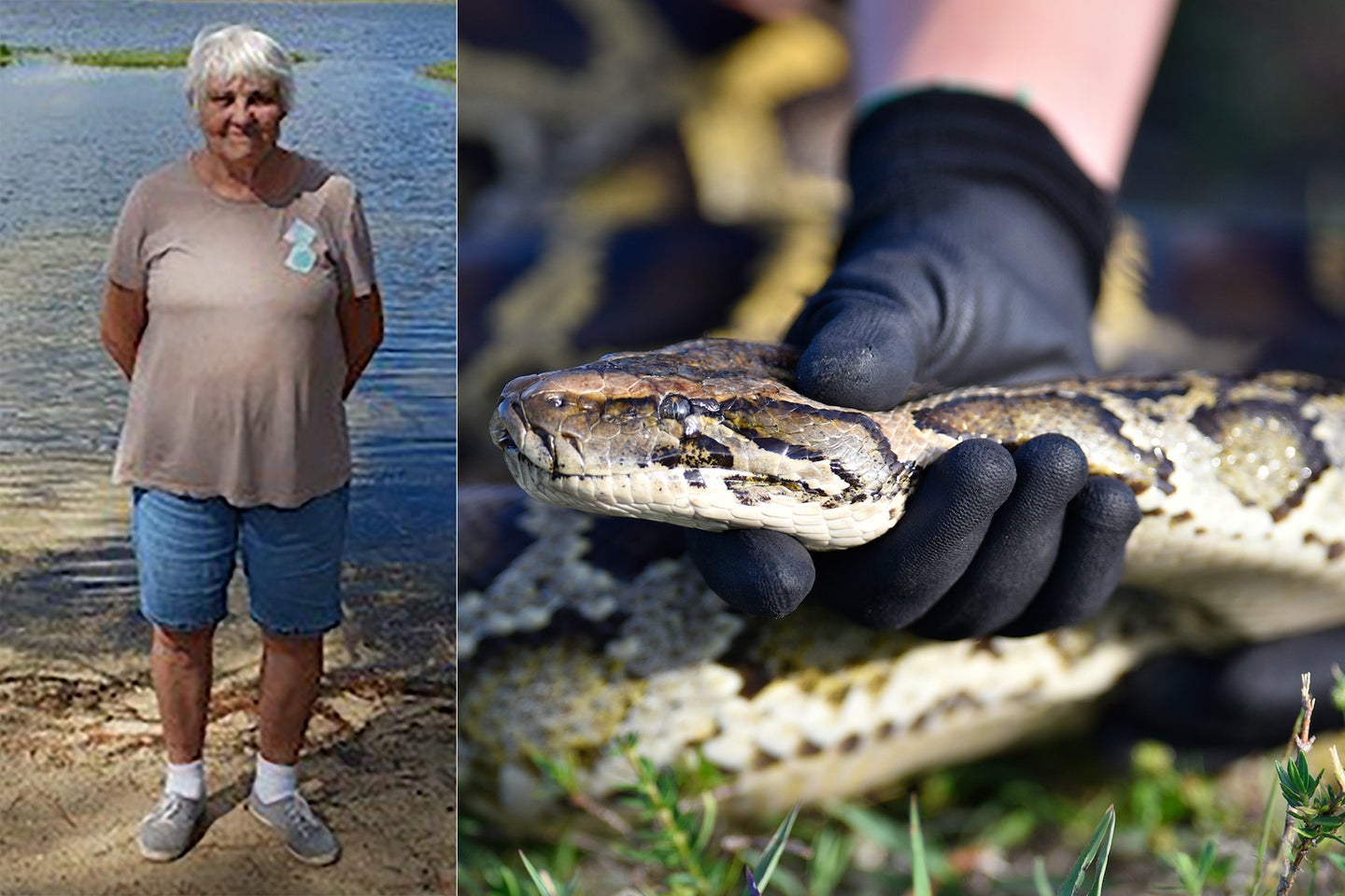 python hunters find missing woman