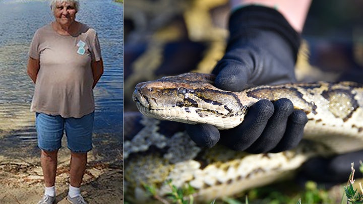 Python Hunters Find Missing Woman Deep in the Florida Everglades
