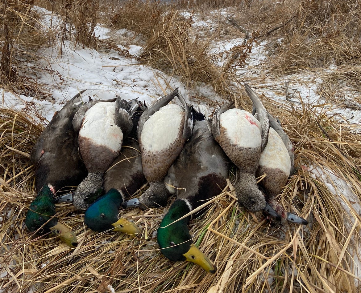 A good call will help you finish more ducks over the decoys.