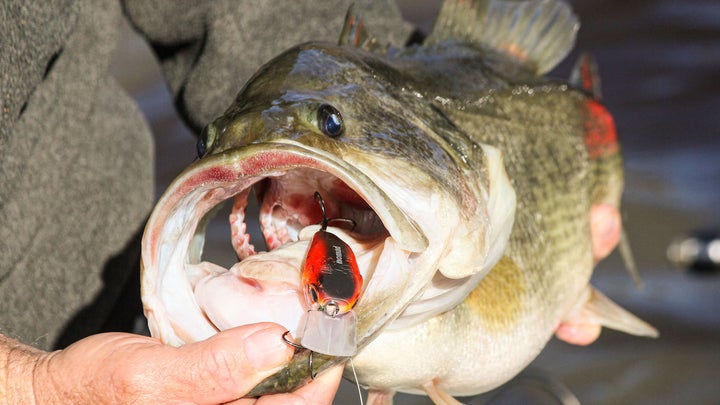 Bass Fishing Water Temperature Chart: Use a Thermometer to Catch More Lunkers