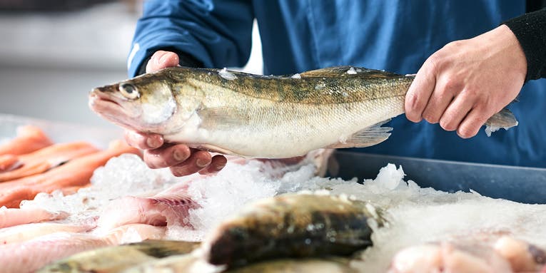 Michigan Man Charged with Assaulting Grocery Clerk with Frozen 4-pound Herring