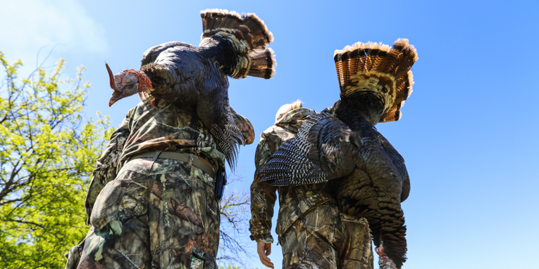 The 40 Best Turkey Hunting Deals Right Now