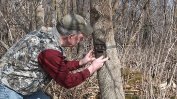 Camojojo Trace Review: The Best Affordable New Cellular Trail Cam You’ve Never Heard Of