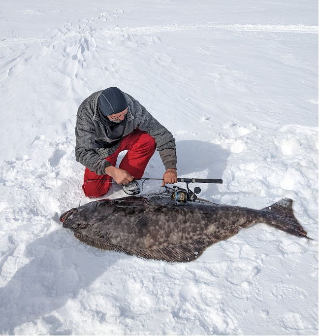 man holds ice fishing rod next to large halibut