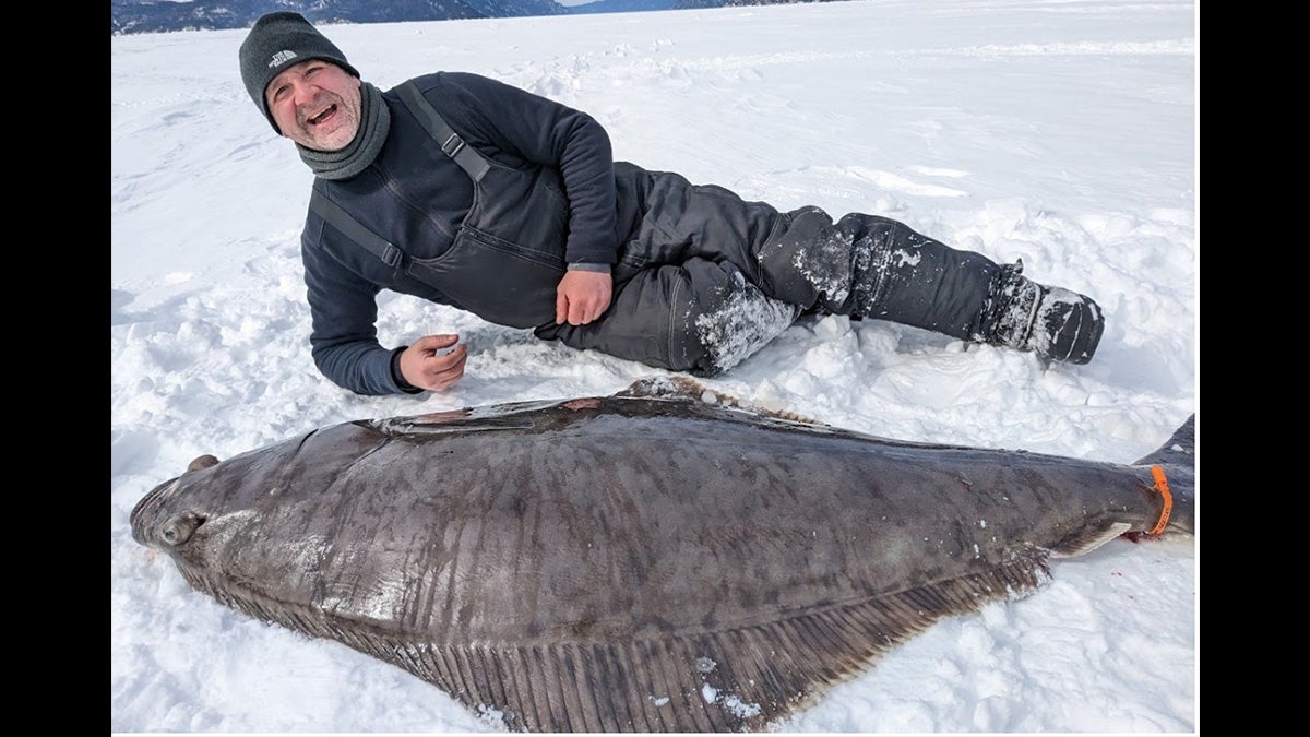 man poses on ice next to halibut