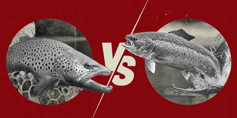 East Vs. West: Who’s Better at Fly Fishing?