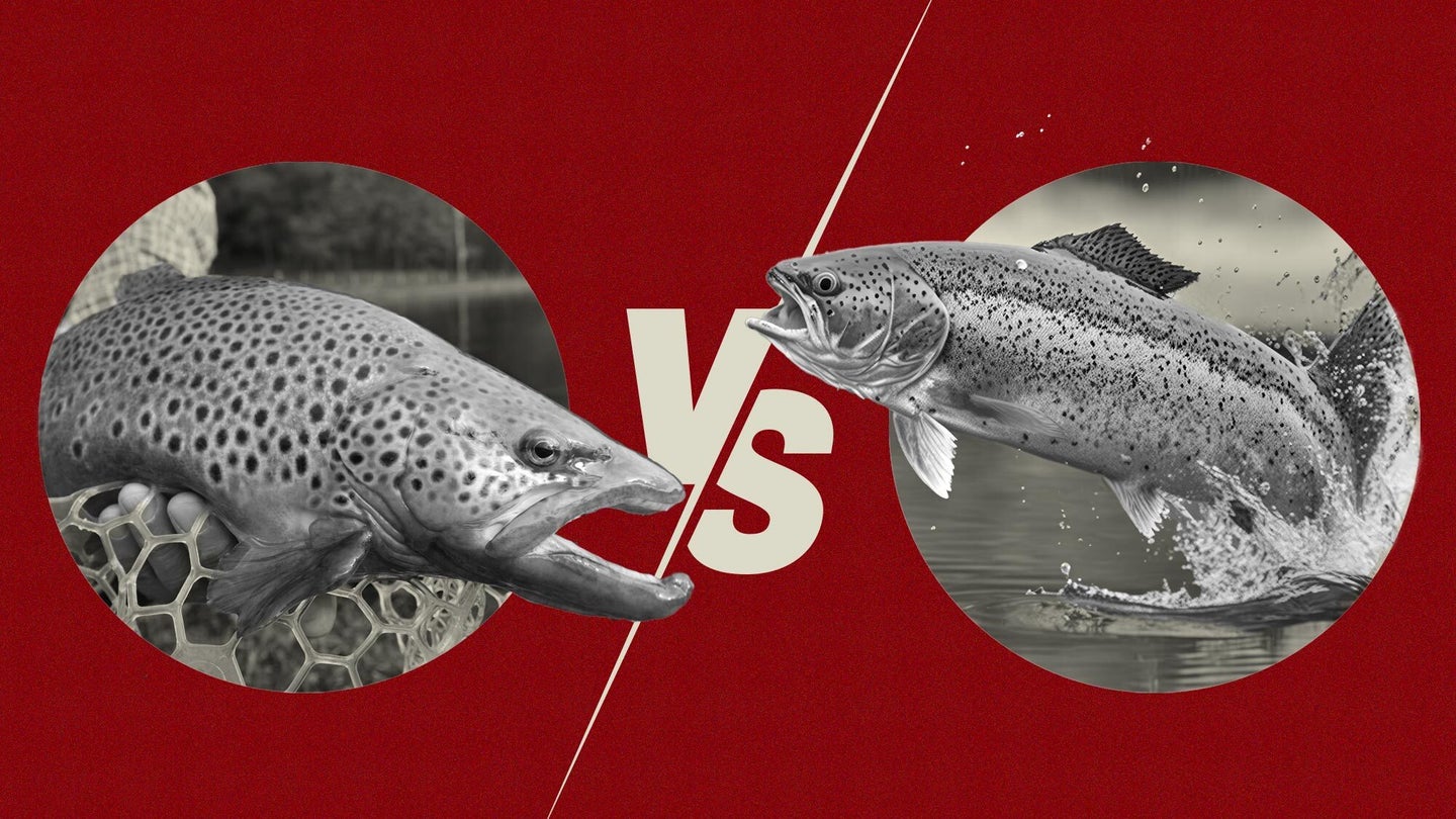 photo illustration for east versus west fly fishing