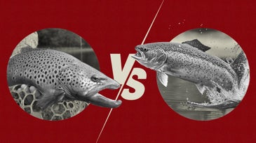 East Vs. West: Who’s Better at Fly Fishing?