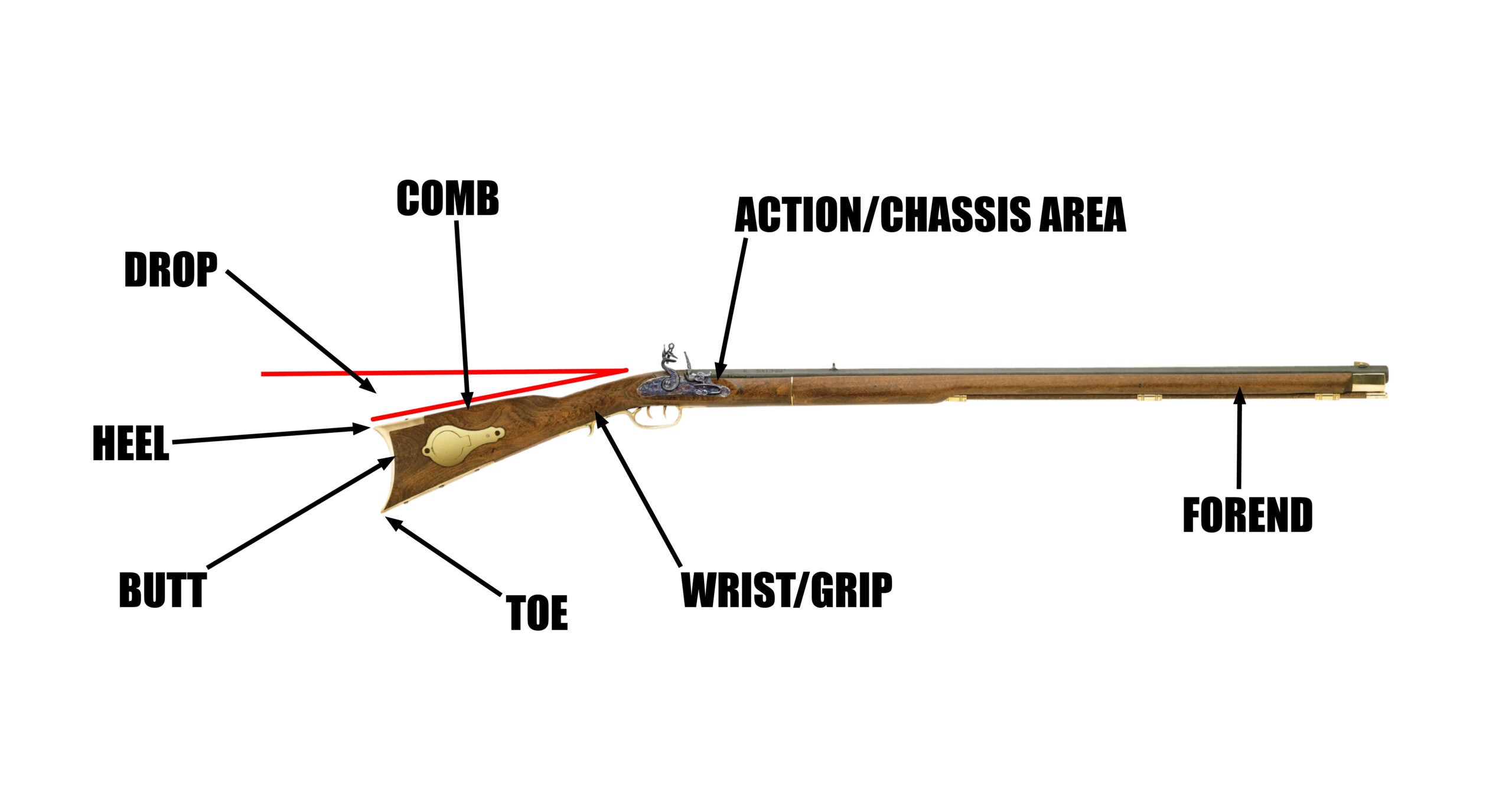 A diagram of the stock of a rifle.