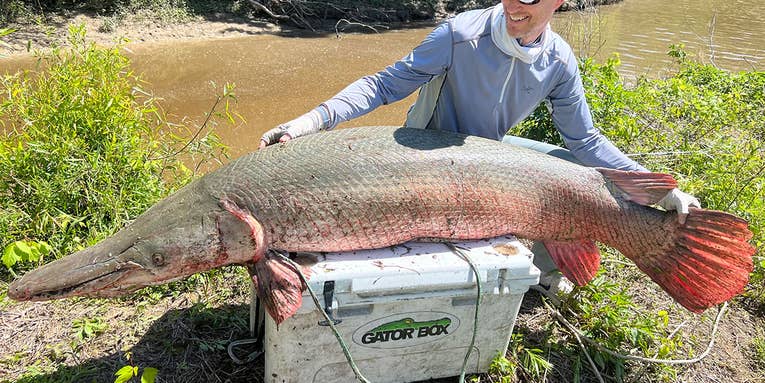 Angler’s Giant Alligator Gar is a Pending Line Class World Record