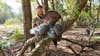 photo of hunter with Florida turkey