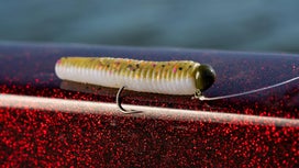 Ned Rig Fishing for Bass: A Complete Guide