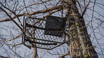 The Best Hang On Treestands of 2024