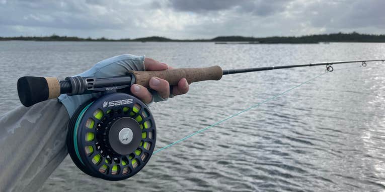 Sage Salt R8 Fly Rod: Tested and Reviewed