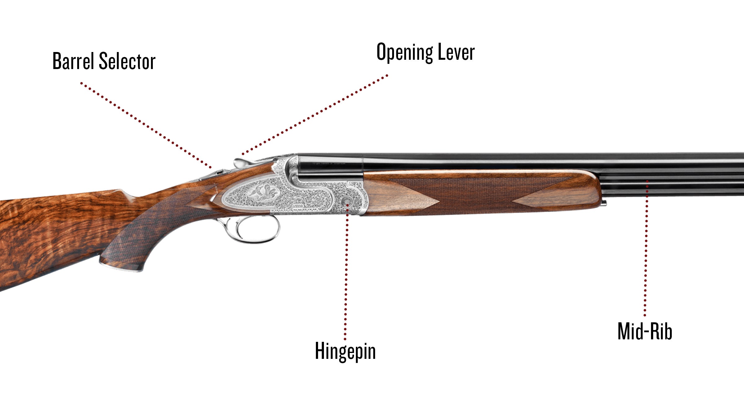 Shotgun diagram.