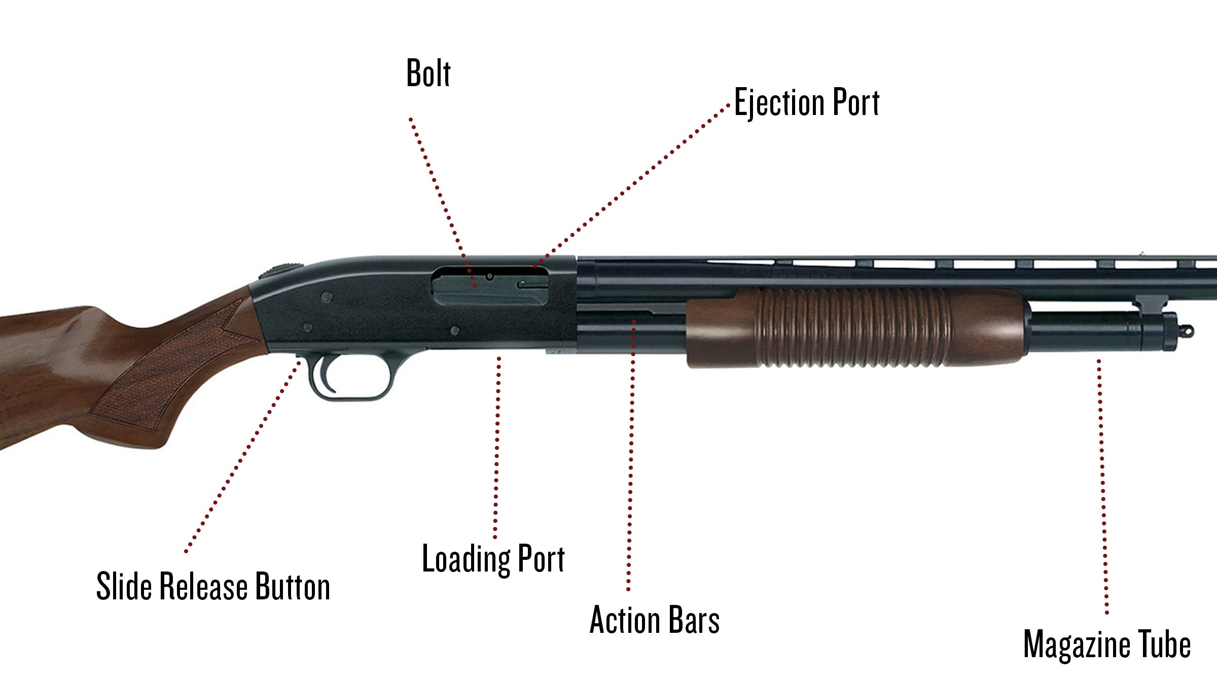 Diagram of gun. 