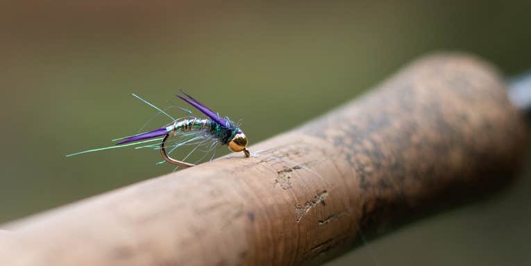A Basic Guide to Fly Fishing with Nymphs