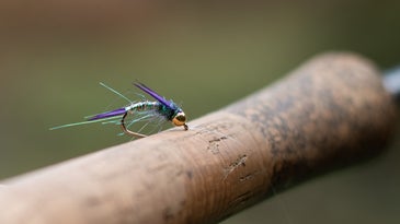 A Basic Guide to Fly Fishing with Nymphs